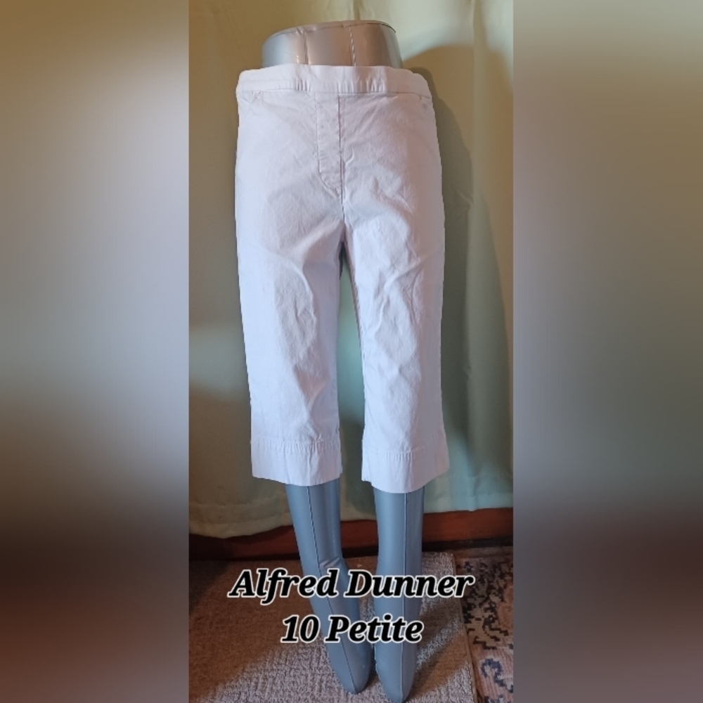 Alfred Dunner, Emaline, Talbots - Not So Mystery Petite Box 2 - Picture 5 of 7